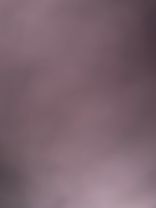 artikel baru apps user